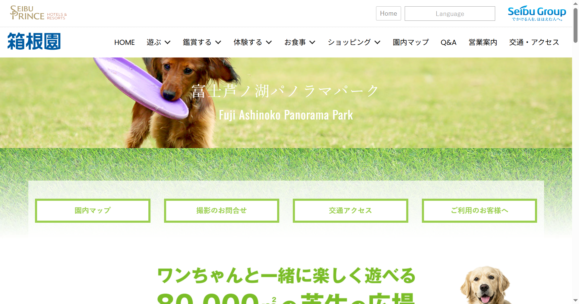 富士芦ノ湖パノラマパーク