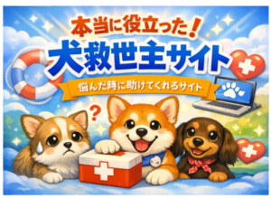 犬救世主アイキャッチ removebg preview