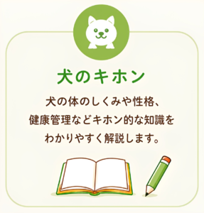 犬のキホン